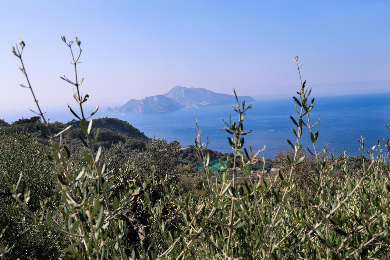 Villa Italia Sorrento Termini ภายนอก รูปภาพ